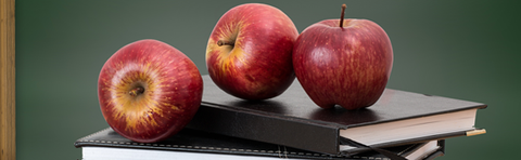 Allgemeinbildung für Erwachsene