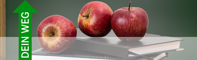 Foto Trakt 1 GIBZ vor der Mensa