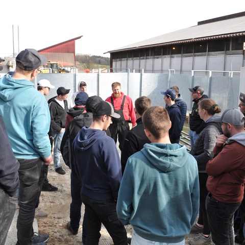 Besuch Milchviehbetrieb